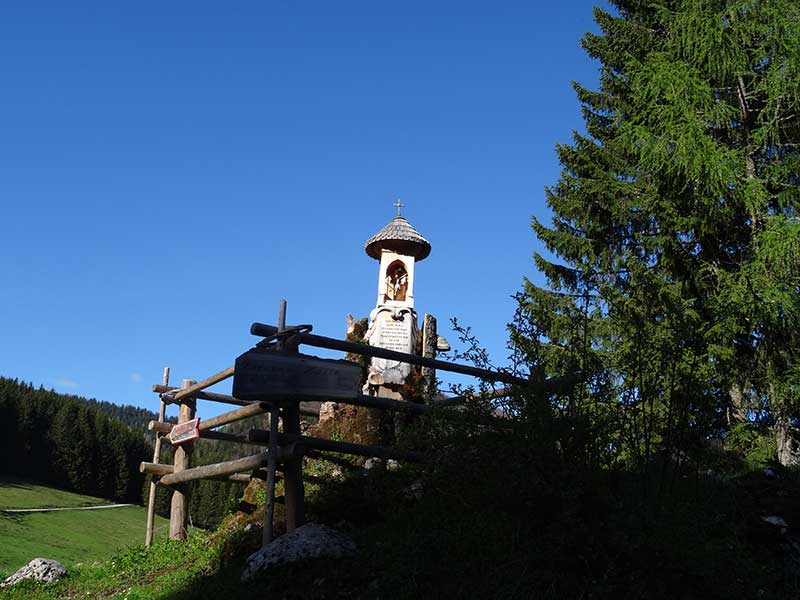 Tannschwärze